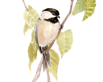 Chickadee watercolor painting, original, hand-painted, one-of-a-kind bird artwork