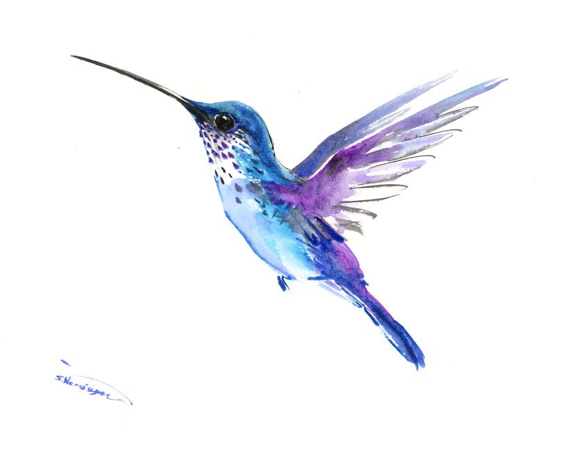 Hummingbird Art Hummingbird Painting Blue Purple Tropical Etsy Hong Kong