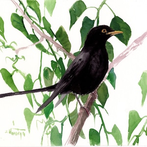 Blackbird artwork, an original watercolor painting by artist Suren