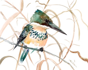 Green Kingfisher artwork, original watercolor painting