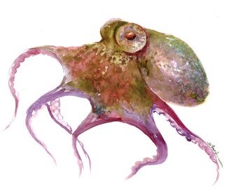 Watercolor Octopus artwork, an original painting by artist Suren