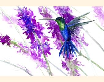 Puede incluir: Acuarela de un colibrí azul y verde en vuelo, rodeado de flores moradas sobre un fondo blanco. El estilo artístico es suave y delicado, con un enfoque en los colores vibrantes y el movimiento del ave.