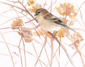 Female American Goldfinch watercolor artwork, original, hand-painted birds and flowers wall art