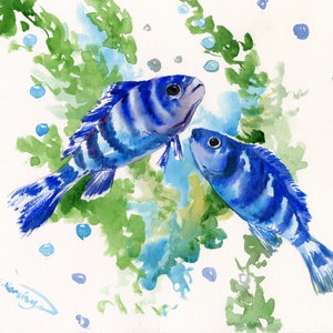 Emperor Cichlid Artwork, original watercolor aquarium fish wall art
