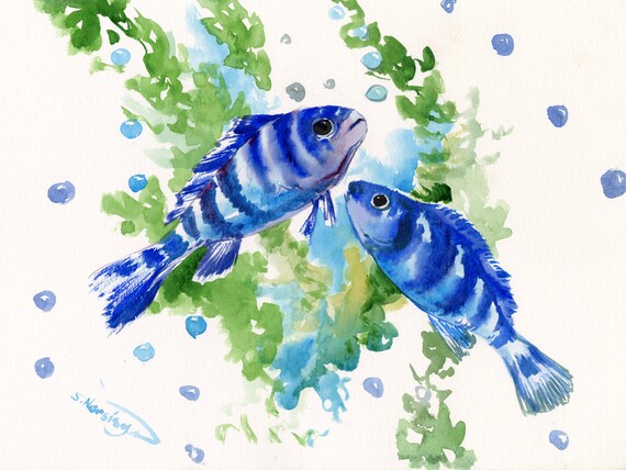 Picture of Cichlid Artwork