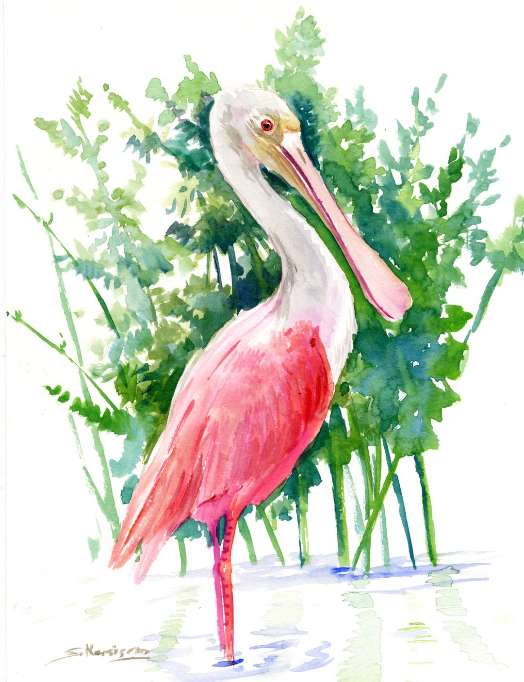 Roseate Spoonbill Watercolor Painting, Original Painting - Etsy