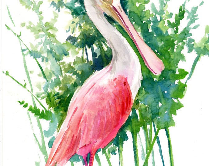 Roseate Spoonbill Watercolor Painting, Original Painting - Etsy