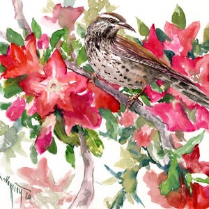 Cactus Wren and Desert Rose, Original watercolor painting