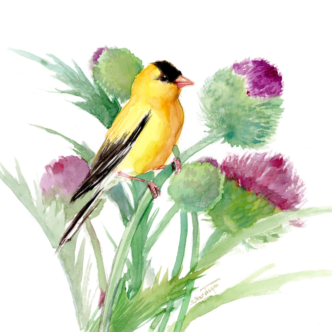 American Goldfinch Watercolor Artwork, an Original Painting by Artist ...