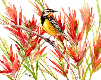 Meadowlark and Indian Paintbrush flowers, original watercolor artwork by artist Suren