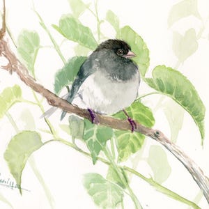 水彩鳥原画、クロオビジュウカラ
