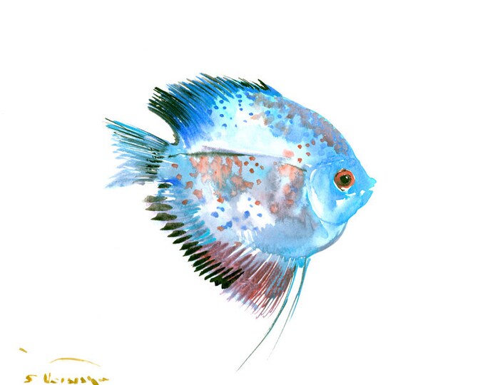 Sky Blue Fish Artwork Discus Original Watercolor Painting 14 Etsy