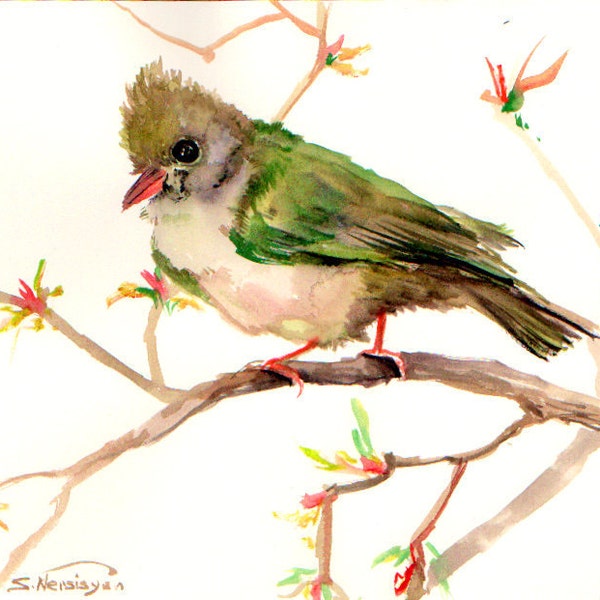 Yuhina bird, original watercolor painting, 9,5 in X 8 in, bird art, green gray bird painting, watercolor birds, bird lover