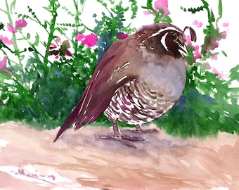 May include: A watercolor painting of a brown and gray quail standing on a light brown surface. The quail is surrounded by green foliage and pink flowers.