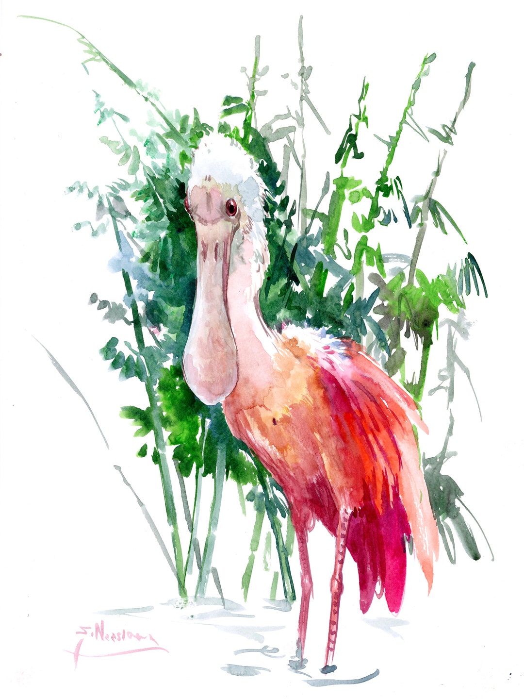 Roseate Spoonbill Watercolor Painting, Original Artwork, Hand-painted ...