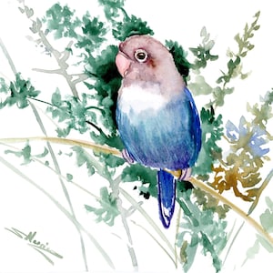 Lovebird parrot artwork, original watercolor painting