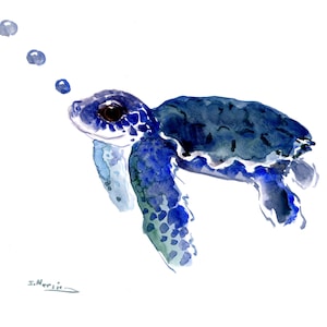 Illustration de la tortue de mer bleue, aquarelle originale