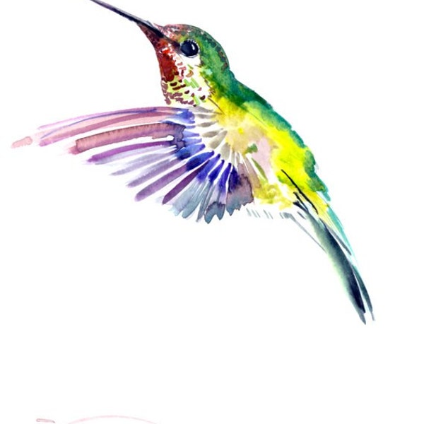 Flying Hummingbird, 12 X 9 in, original watercolor painting