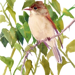 May include: Watercolor painting of a small brown bird perched on a branch with green leaves. The bird has a long tail and a small beak. The painting is signed "S. Neesing" in the bottom left corner.