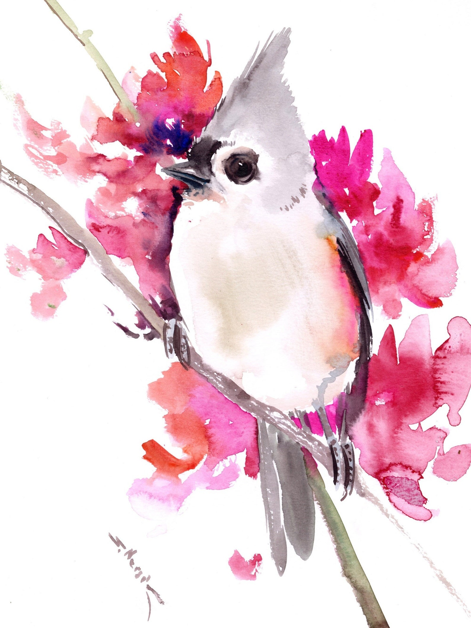 Titmouse and Pink Blooming Tree, Original Watercolor Birds and Flowers ...