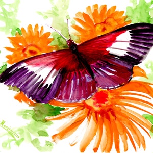 Butterfly artwork, original watercolor painting, purple, red colorful butterfly painting