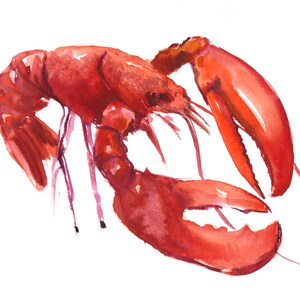 Red Lobster watercolor artwork, original painting