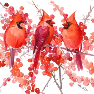 Christmas Cardinal Birds and Berries artwork, original watercolor painting