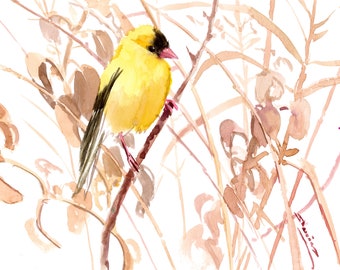 Bird and flowers art, American Goldfinch in the field watercolor painting, original home decor, hand-painted wall art