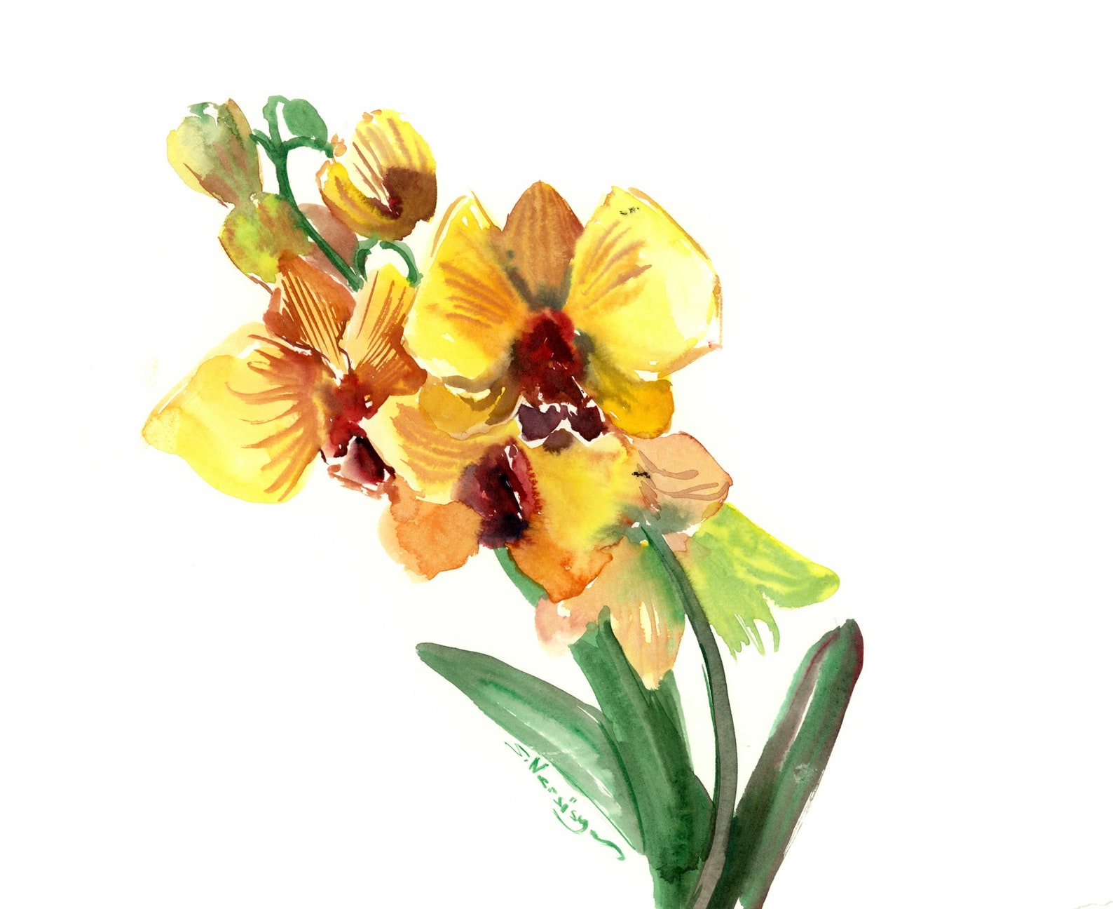 Yellow Orchid Flowers Painting original watercolor floral art Etsy