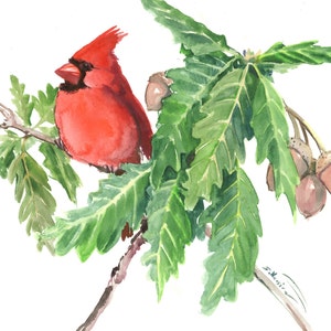 Red Cardinal Bird on the Oak Tree watercolor artwork, original hand-painted wall art