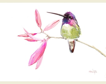 Puede incluir: Pintura a la acuarela de un colibrí posado en una rama con hojas rosas. El ave tiene plumas moradas, verdes y blancas. El pico largo es negro. La obra de arte está sobre un fondo blanco.