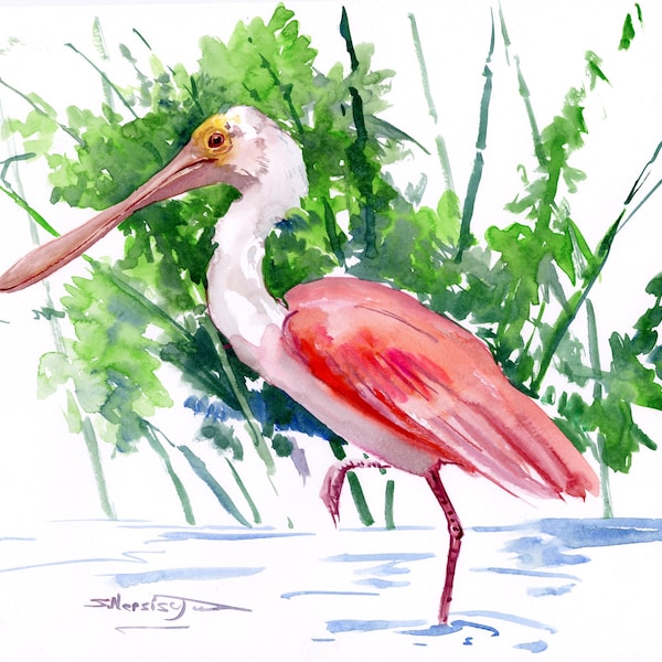 Roseate Spoonbill - Etsy