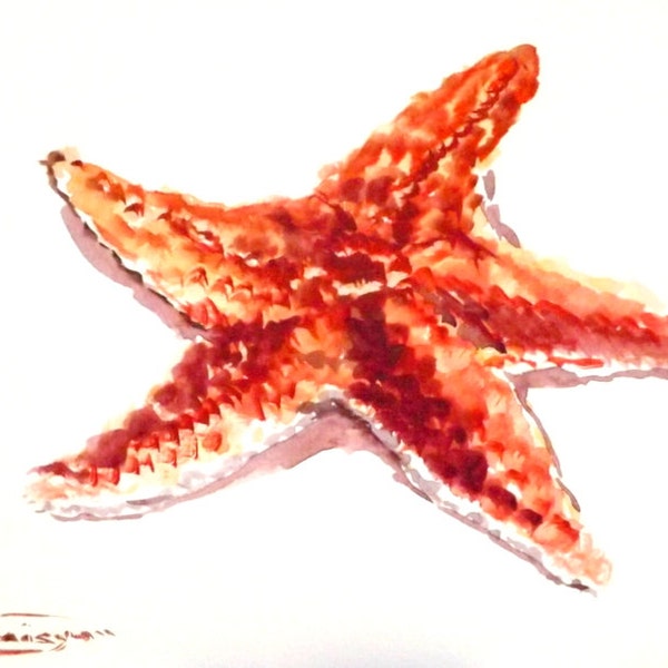 Starfish, Original watercolor painting, 12 X 9 in, red orange sea art, sea animal art,