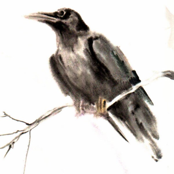 Crow, Acuarela Original pintura, 16 X 12, mojado arte acuarela, blanco y negro, Cuervo, Cuervo pintura