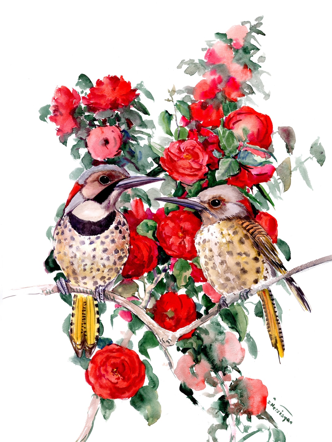 Alabama State Bird and Flowers Artwork, Original Large Watercolor ...