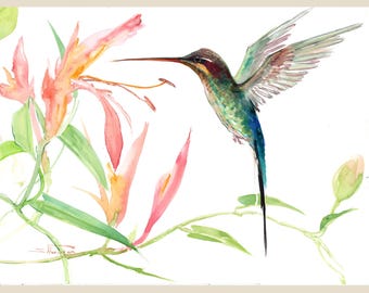 Puede incluir: Pintura acuarela de un colibrí con plumas verdes y azules, flotando cerca de flores rosadas con hojas verdes.