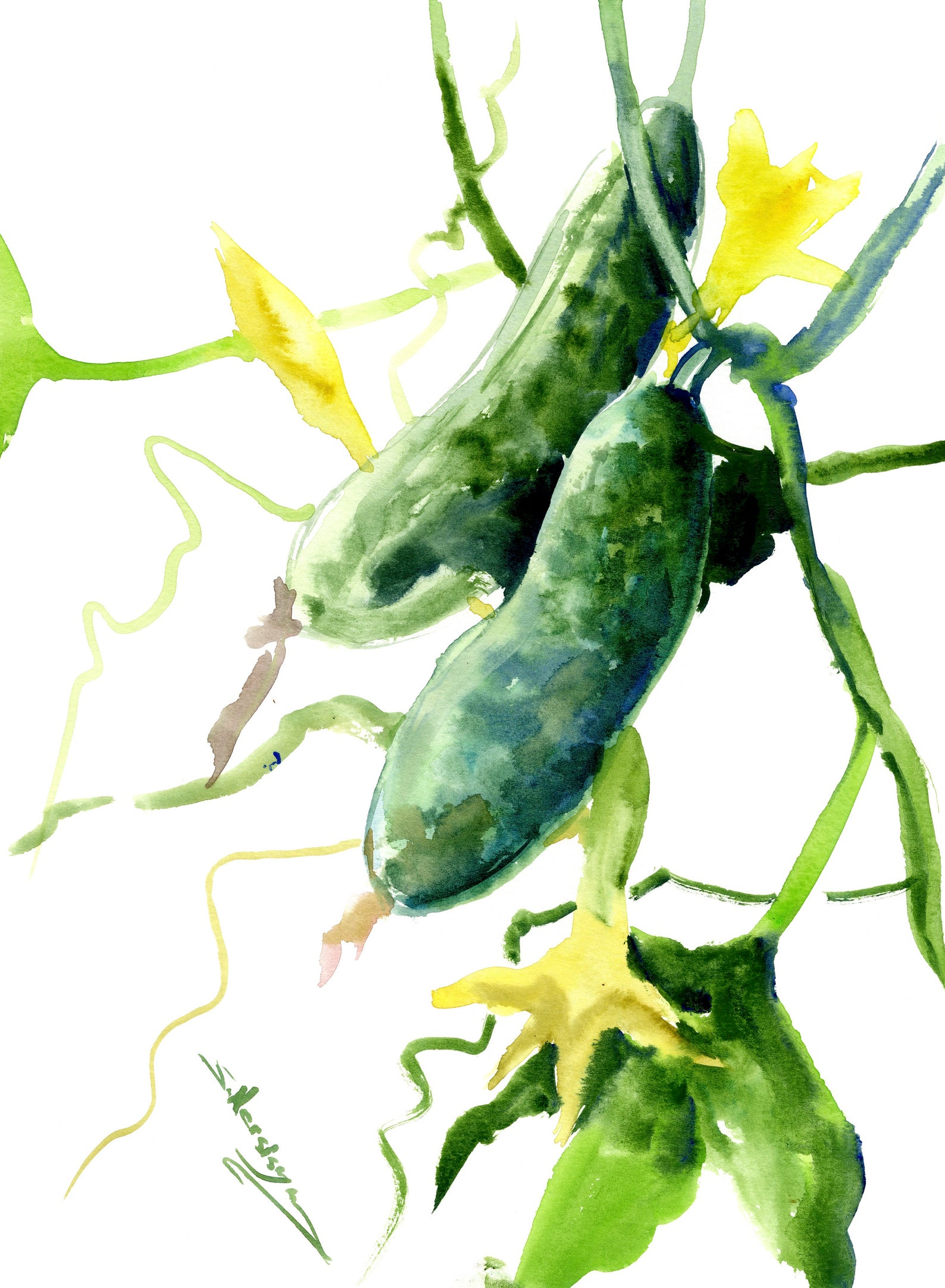 Cucumber Artwork Original Watercolor Vegan Art Etsy