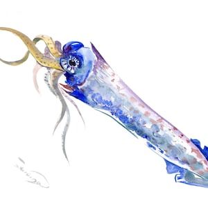 squid painting, original watercolor artwork
