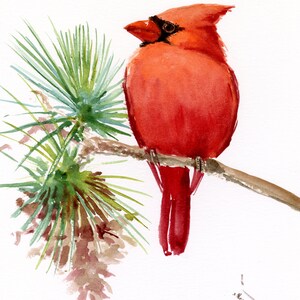 Red Cardinal Bird Watercolor Painting, original artwork, northern cardinal