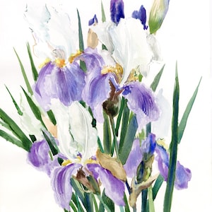 Iris Floral artwork, an original watercolor painting by artist Suren