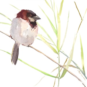 Sparrow Bird artwork, original watercolor painting