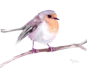 Rotkehlchen Aquarell Vogel Kunst, Malerei