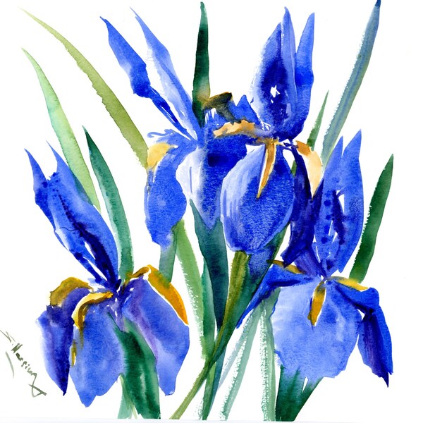 Blue iris Flowers watercolor painting