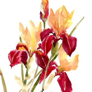 Watercolor Iris flowers, original floral painting, garden irises