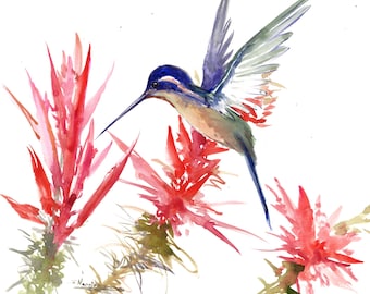 Puede incluir: Pintura a la acuarela de un colibrí con plumas azules, verdes y beige, flotando cerca de flores rojas con tallos verdes. Las alas del pájaro están extendidas y su largo pico apunta hacia abajo. El fondo es blanco.