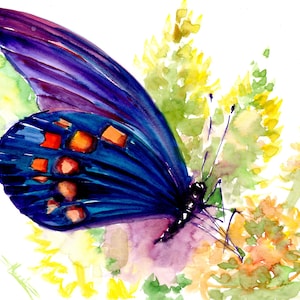 Butterfly artwork, original watercolor painting, deep turquoise,purple, violet colorful butterfly painting