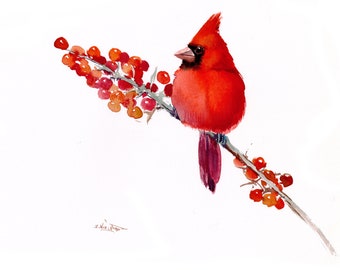 Red Cardinal Bird and Winter Berries, original watercolor artwork