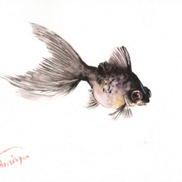 Black Moor, Original watercolor painting, 9 X 12 in, goldfish art, black and white aquarium painting