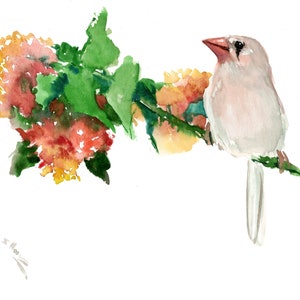 White Zebra Finch and Flower, original watercolor birds and flowers artwork, traditional style hand painted watercolor wall art