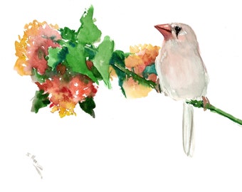 White Zebra Finch and Flower, original watercolor birds and flowers artwork, traditional style hand painted watercolor wall art